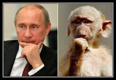 10 отличий.jpg