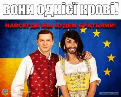 7319336.jpg