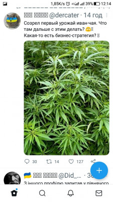 Screenshot_20220724-121440.jpg (133.84 КБ) 2485 просмотров Screenshot_20220724-121440.jpg