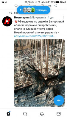 Screenshot_20220901-184329.jpg