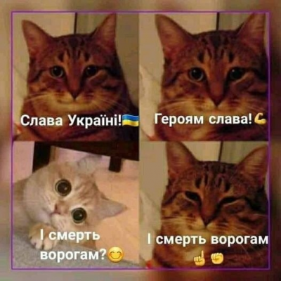 FgppO6XWIAAzAea.png