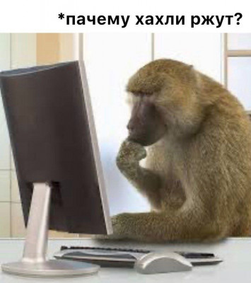 FtVNQCMWIAAZo4U.jpg