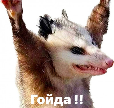 FuGTrnYWYBM56A3.jpg (128.81 КБ) 1449 просмотров FuGTrnYWYBM56A3.jpg