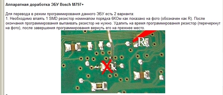 797.jpg