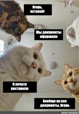 ef7eb3c76a3c1ac00626130fcc6f61cb.jpg
