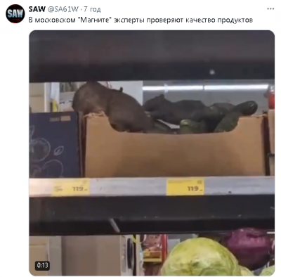 2024-06-08_011028.png (214.8 КБ) 1156 просмотров 2024-06-08_011028.png