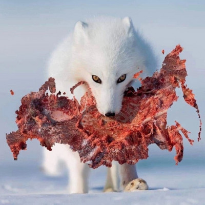 2024-07-03_222234.jpg (128.29 КБ) 973 просмотра 2024-07-03_222234.jpg