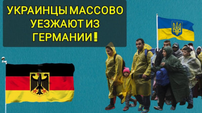 селюки.jpg